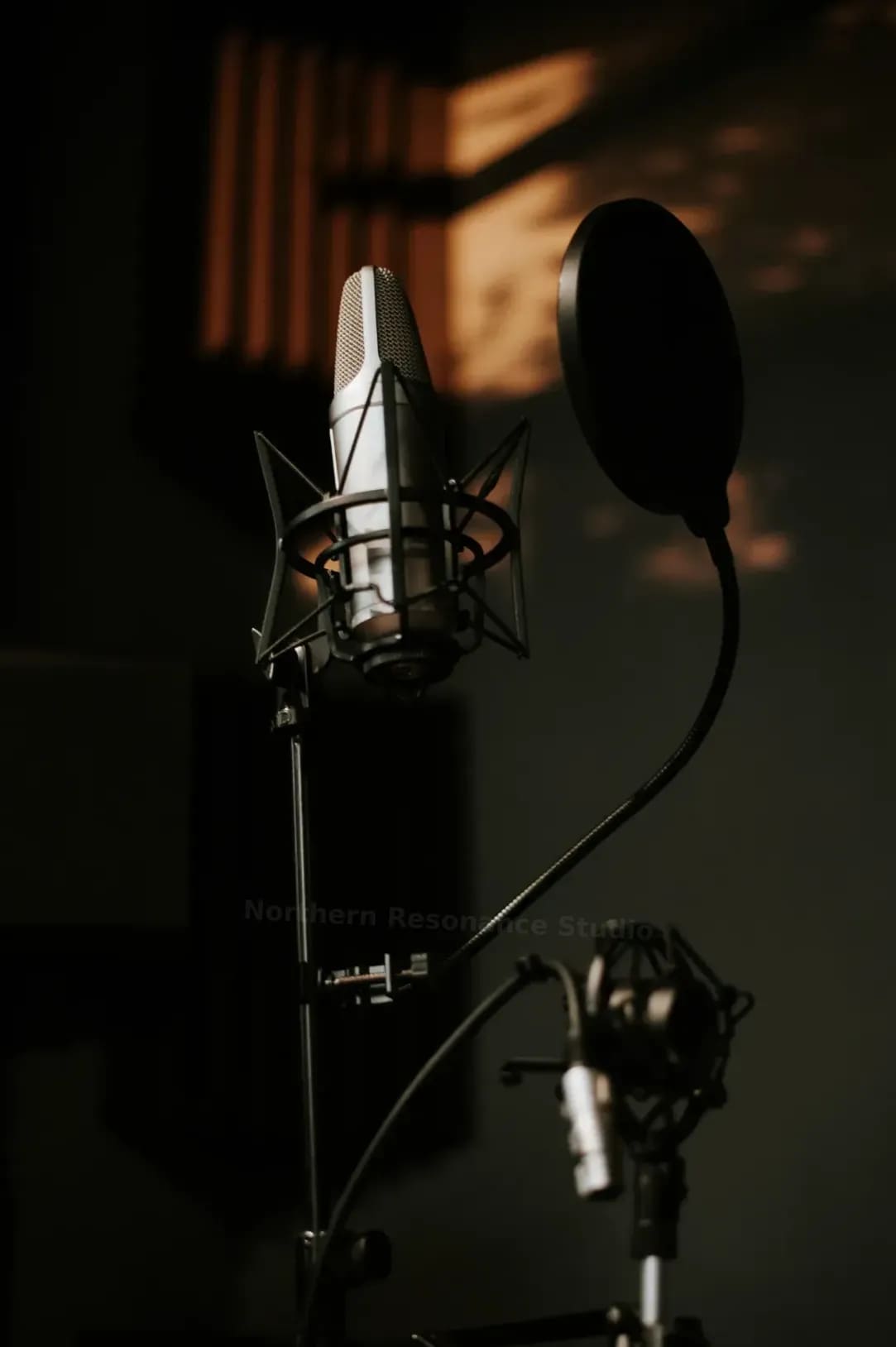 Northern Resonance Studio 7